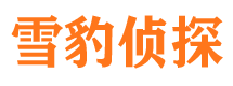 错那市调查公司